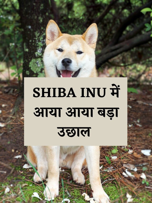 Shiba Inu Cryptocurrency बड़ी गिरावट के बाद आज तेजी