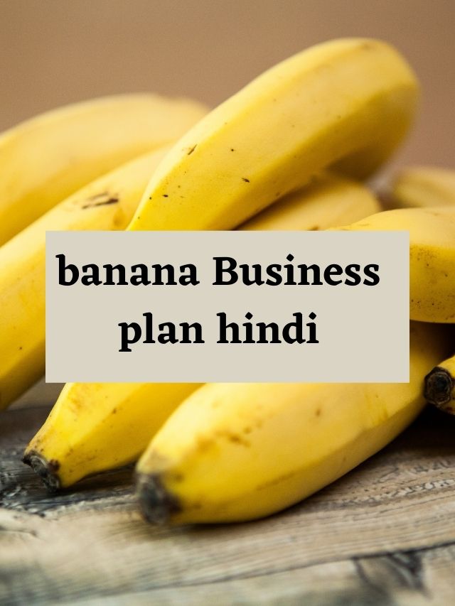Banana Chips Business Plan hindi